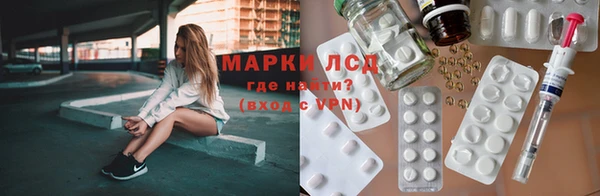 гидра Абаза