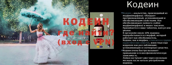 гидра Абаза