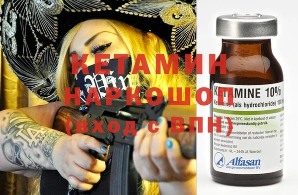 гидра Абаза