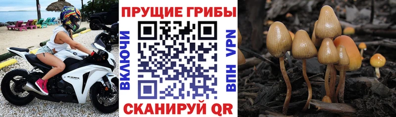 Галлюциногенные грибы ЛСД Шиханы