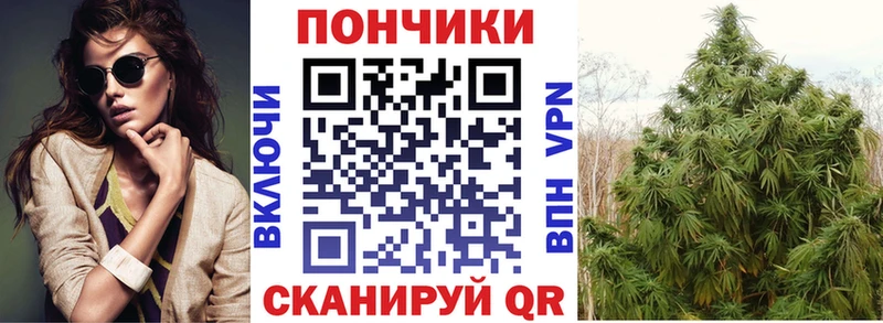 Конопля SATIVA & INDICA  MEGA маркетплейс  Шиханы 